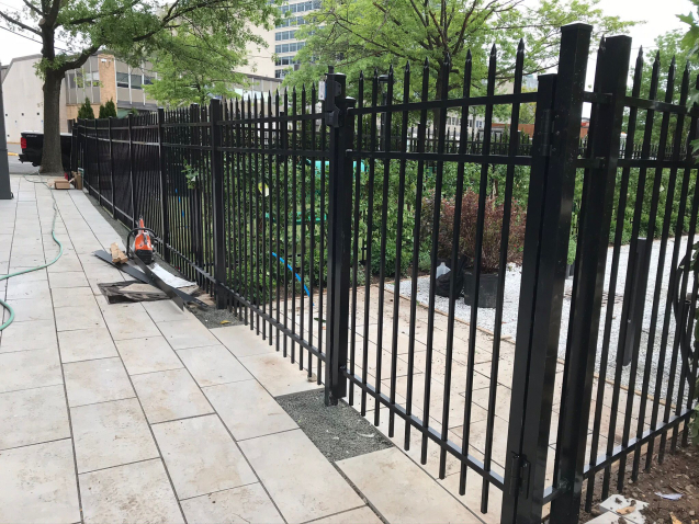 WhatsApp Image 2024-03-18 at 5.35.16 PM