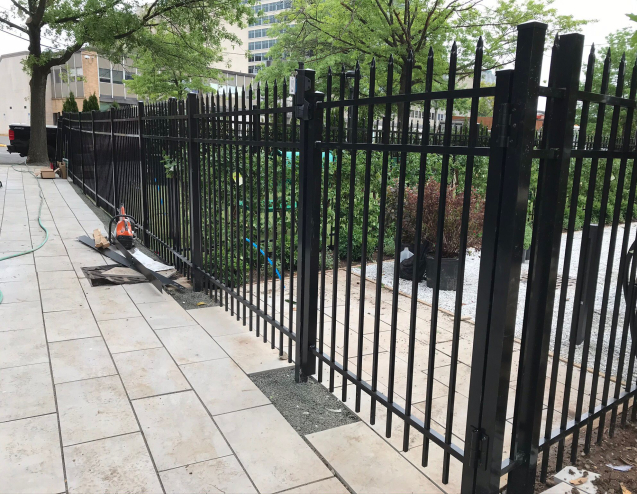 WhatsApp Image 2024-03-18 at 5.35.16 PM