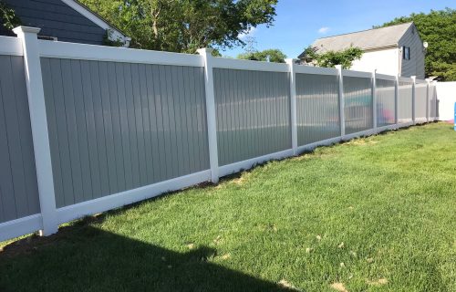 WhatsApp Image 2024-03-18 at 5.21.12 PM