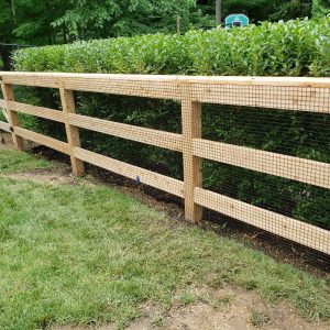 WhatsApp Image 2024-03-18 at 5.42.06 PM